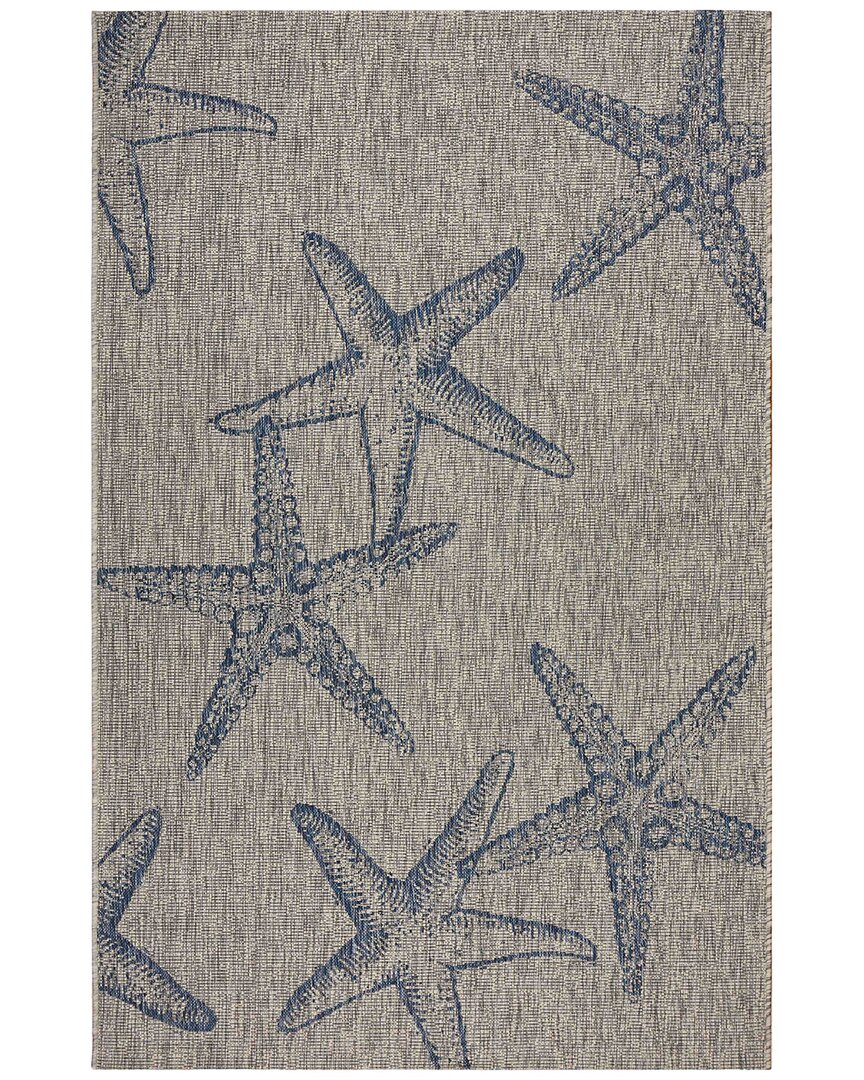 Lr Home Coastal Graphic Print Indoor/outdoor Performance Area Rug