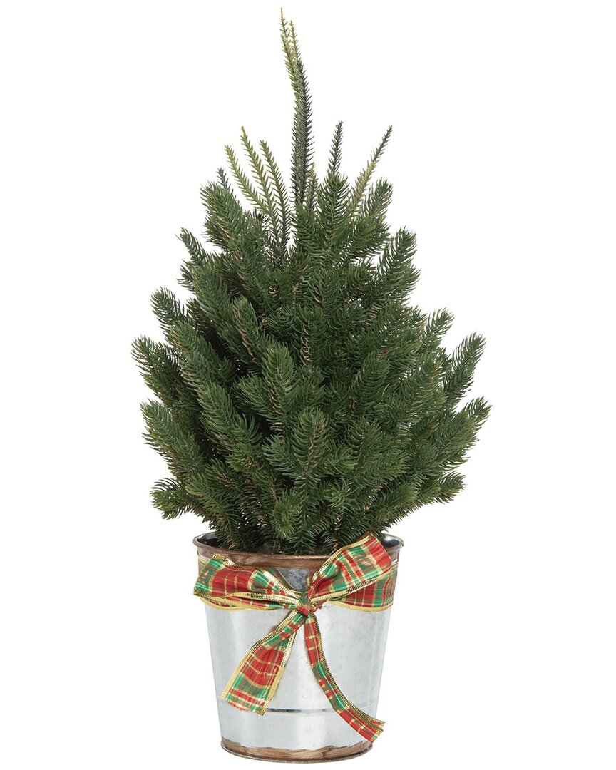 Transpac Artificial 24in Christmas Holiday Tree In Bucket In Green