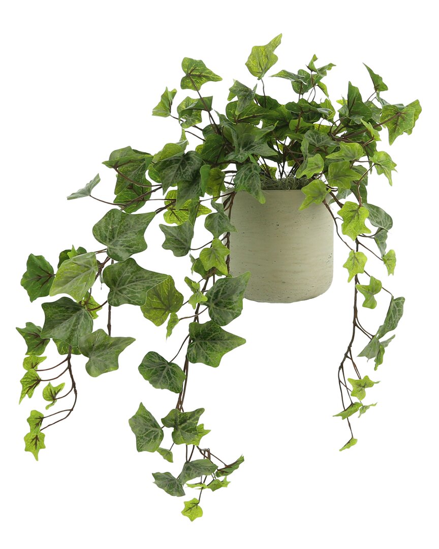 Creative Displays Green Ivy In A Gray Pot