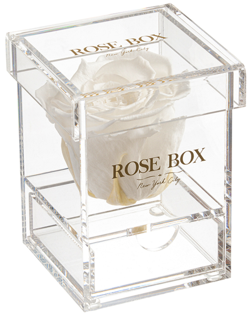 Rose Box Nyc Single Pure White Rose Jewelry Box