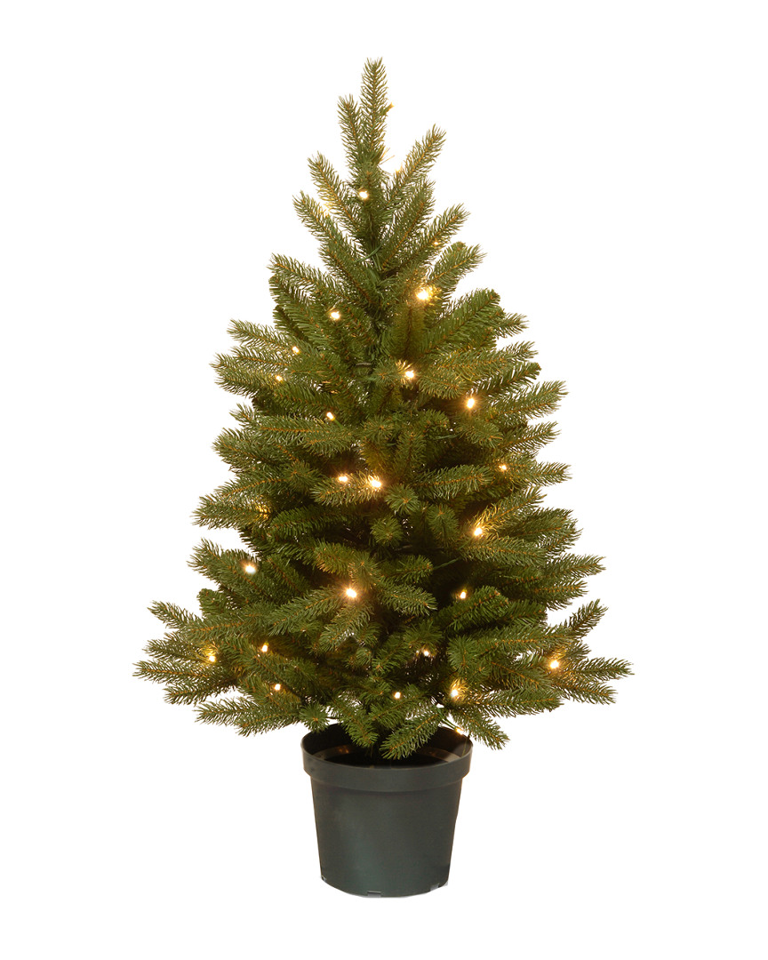 National Tree Company 4ft Feel-real Jersey Fraser Fir Entrance Tree