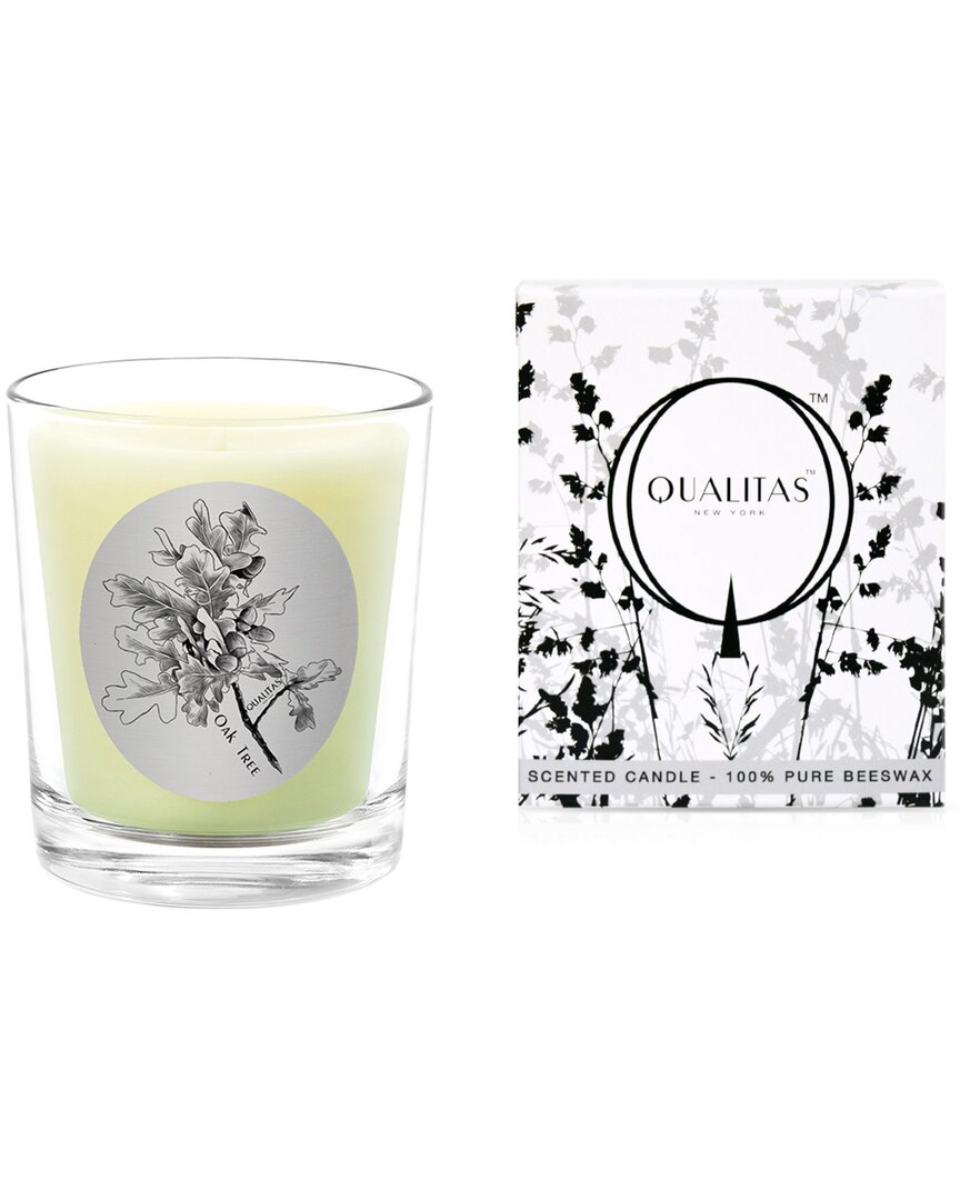 Qualitas Oak Tree 6.5oz Beeswax Candle In White