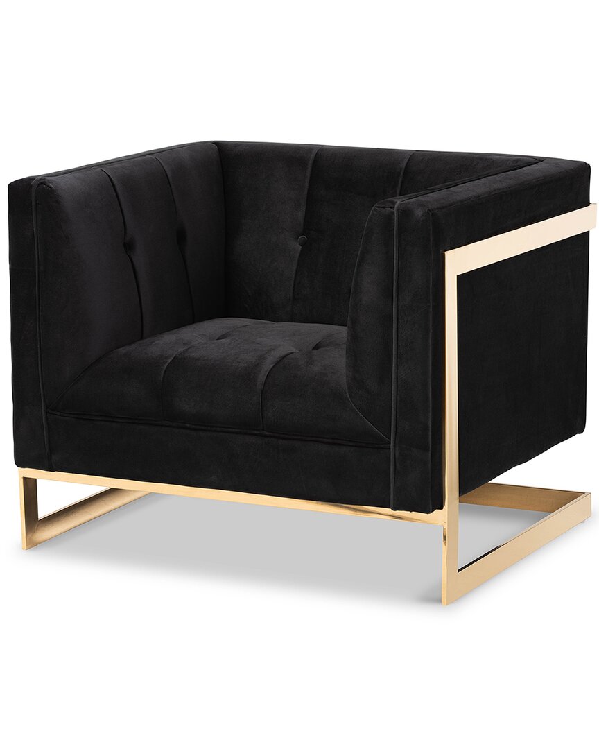 Baxton Studio Ambra Velvet Upholstered Armchair In Black