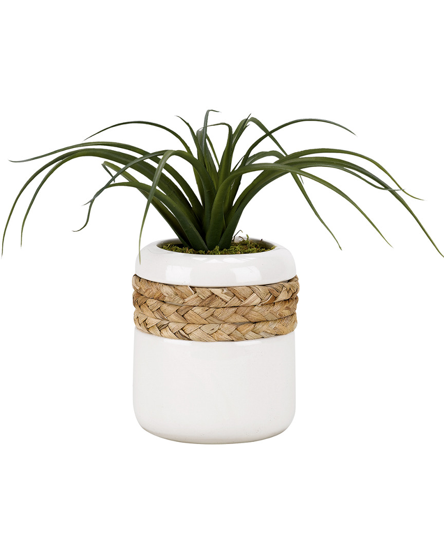 D&w Silks Curly Tillandsia In Round Ceramic Planter Wrapped In Rope