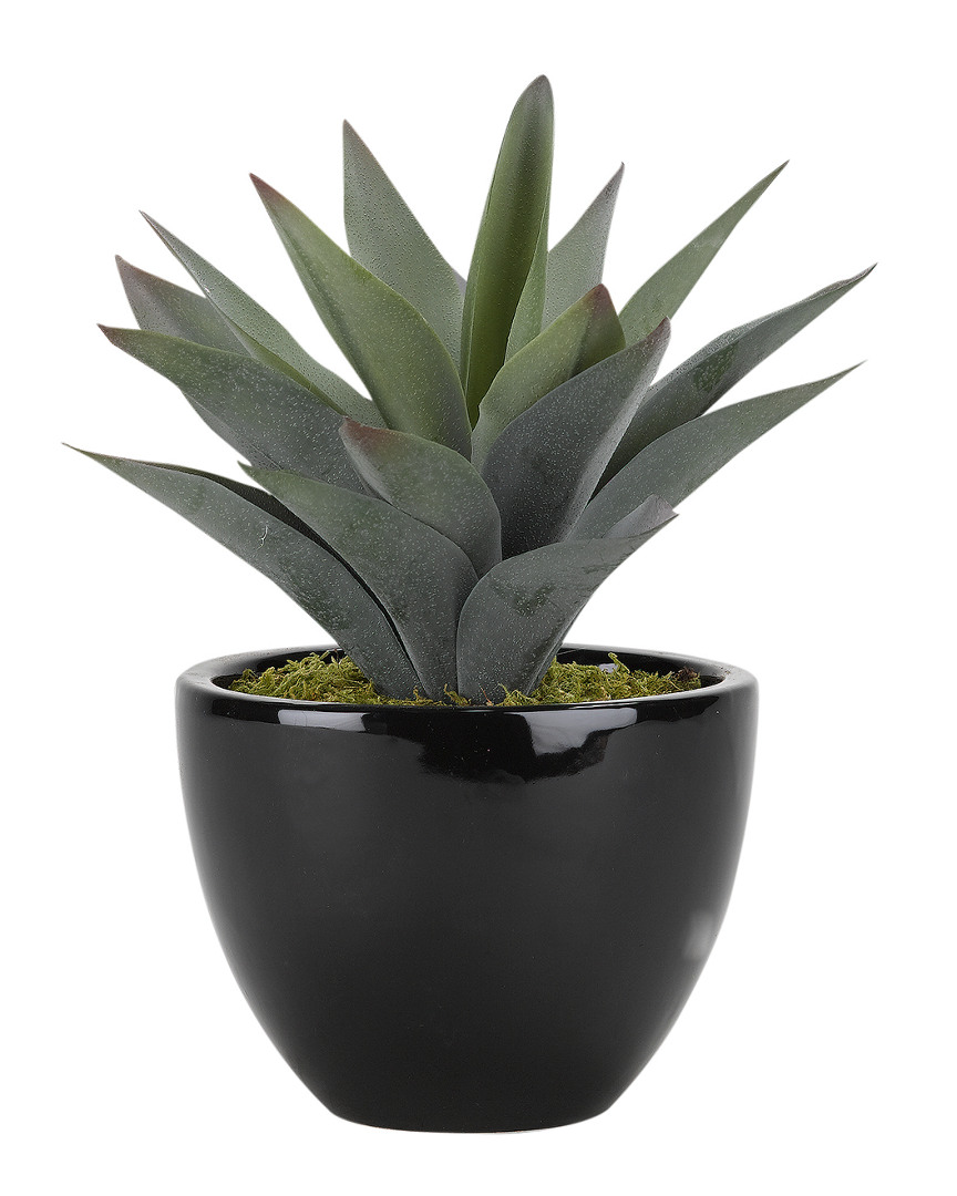D&w Silks Large Aloe Plant In Round Ceramic Planter