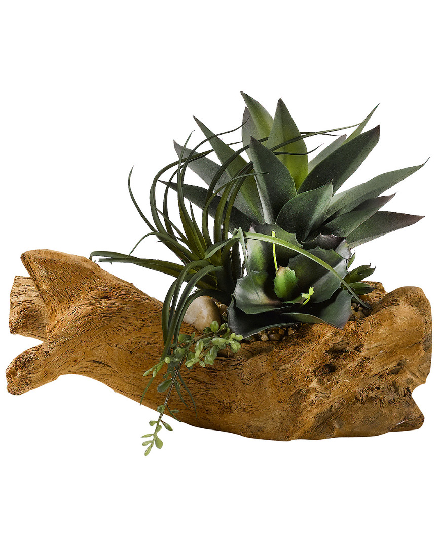 D&w Silks Agave Plant With Mixed Succulents On Drift Wood
