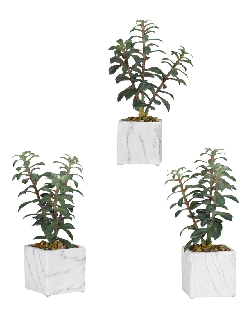 D&w Silks Set Of 3 Tree Succulents In White Marbled Ceramic Cube
