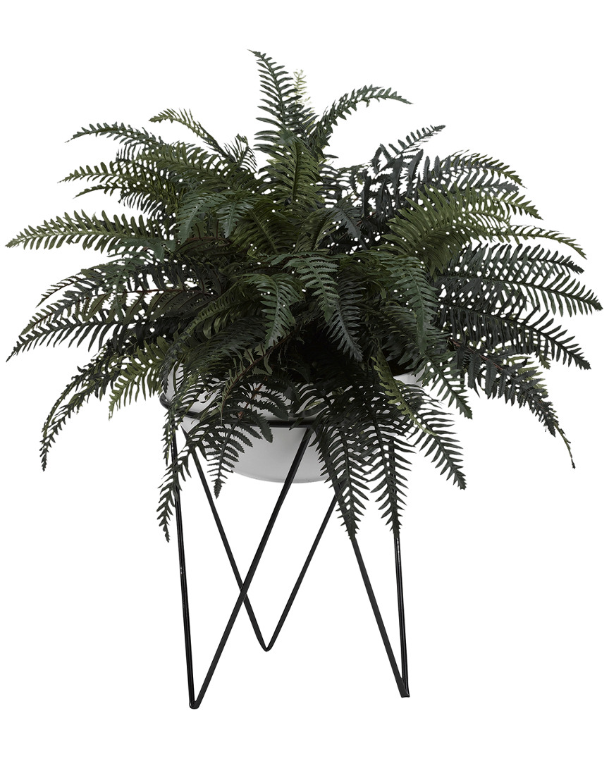 D&w Silks Large River Fern In White Bowl With Metal Stand