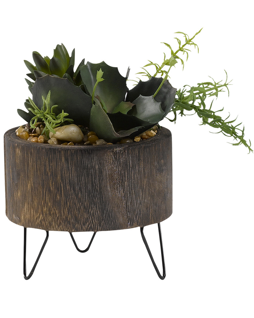 D&w Silks Assorted Succulents In Round Wooden Planter With Wire Legs