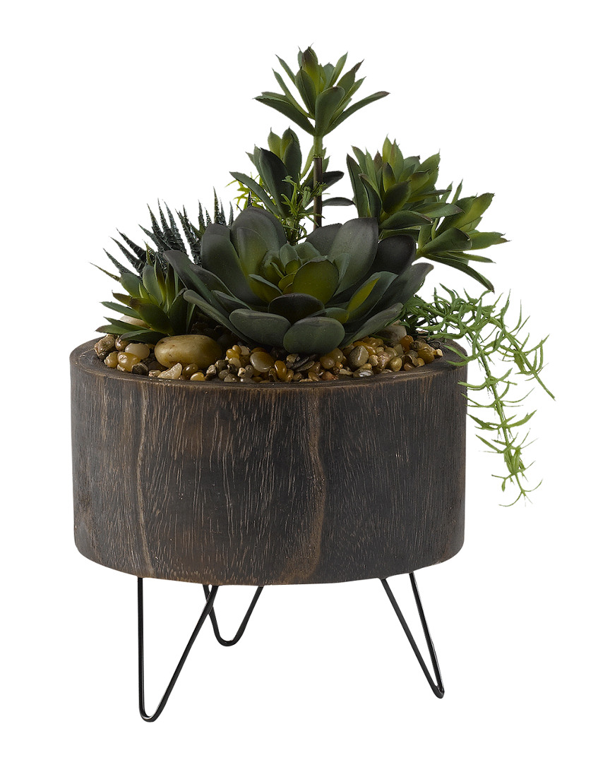 D&w Silks Mini Yucca With Aloe And Echeveria In Rustic Wood Planter With Wire Legs In Green
