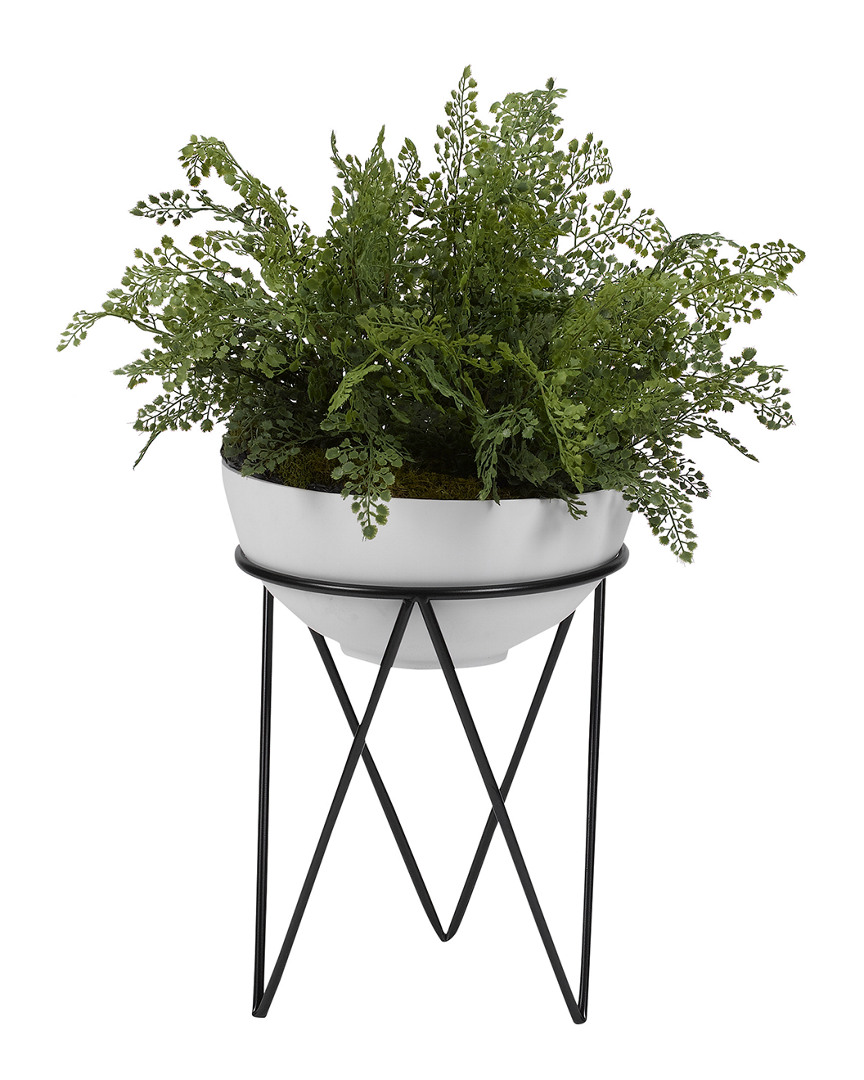 D&w Silks Maiden Hair Fern In White Bowl With Metal Stand