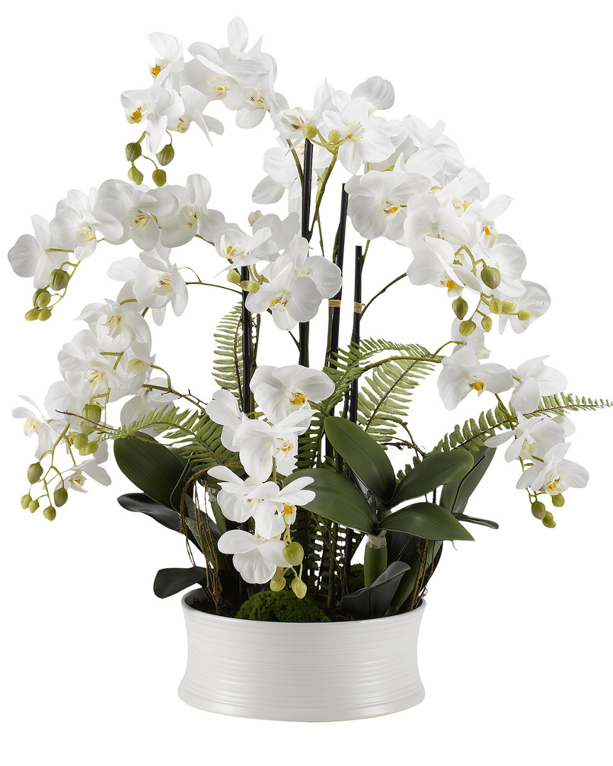 D&w Silks White Orchids In Round White Ceramic Dish