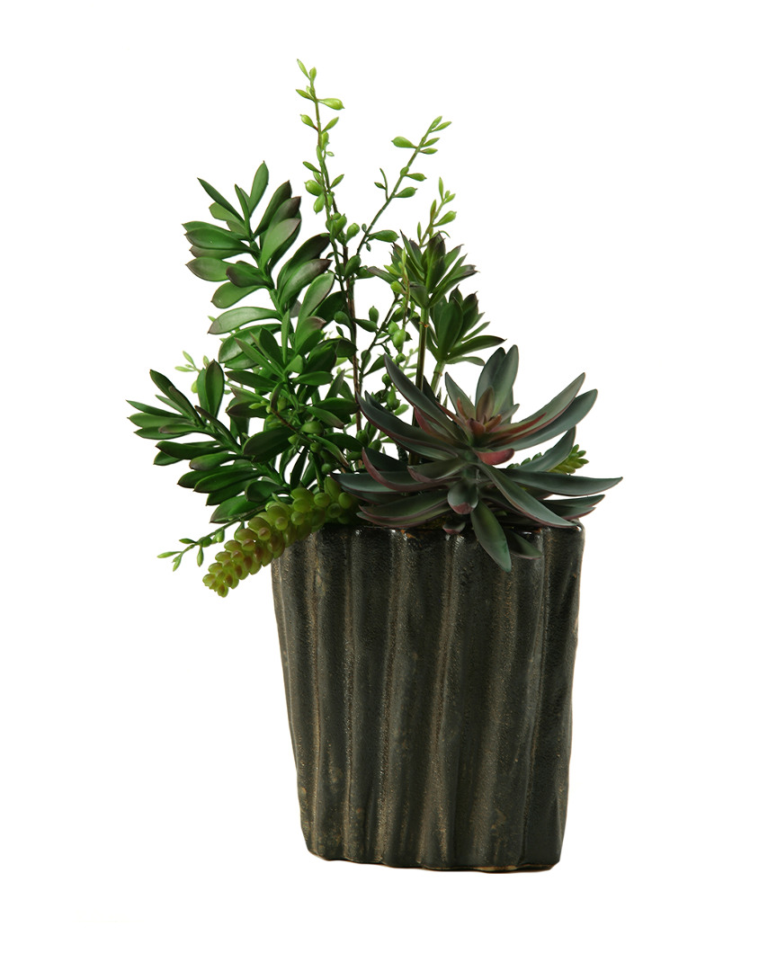 D&w Silks Succulents, Aloe And Dracaena Heads In Oval Ceramic Planter