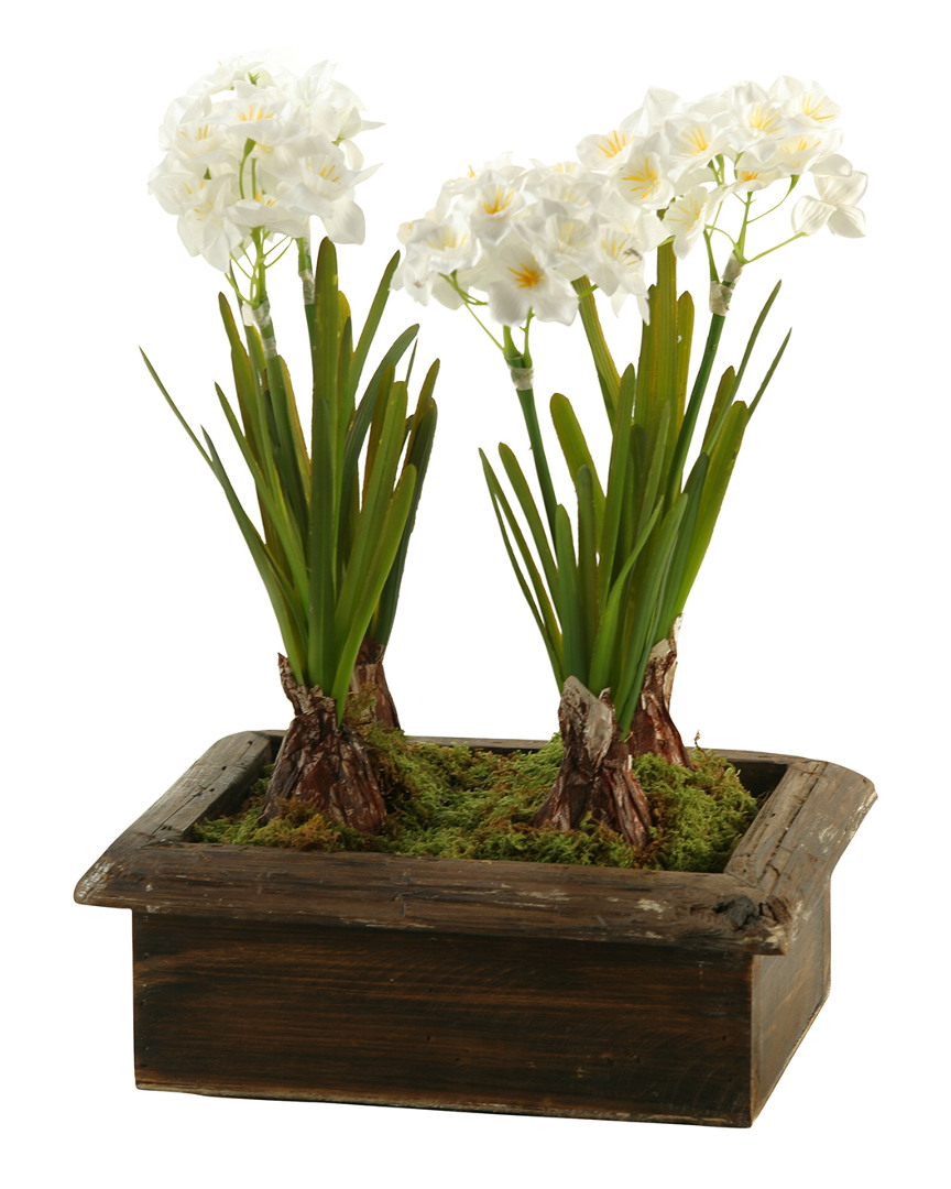 D&w Silks Paperwhites In Rectangle Wood Planter Box