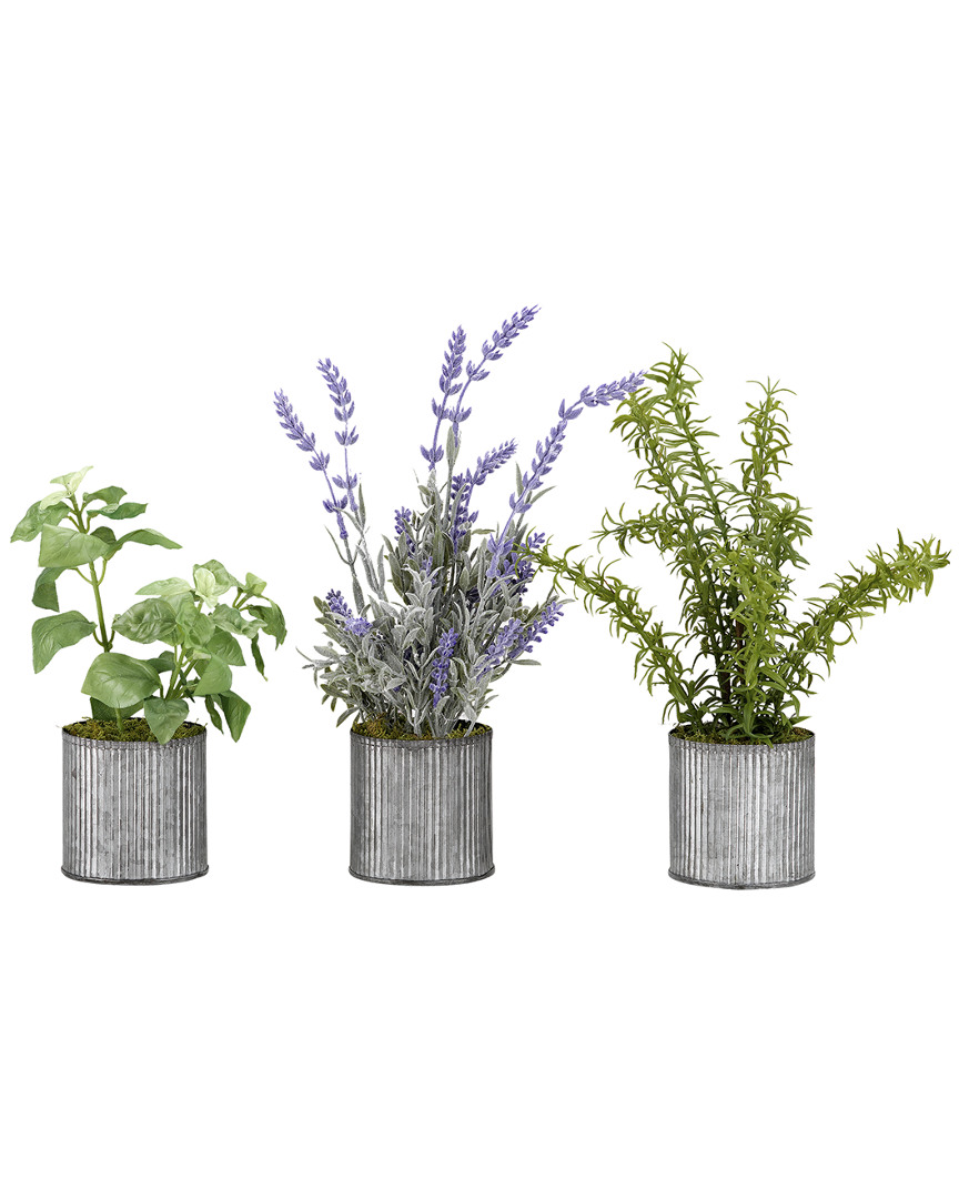 D&w Silks Set Of 3 Basil, Lavender And Springeri In Tin Planters