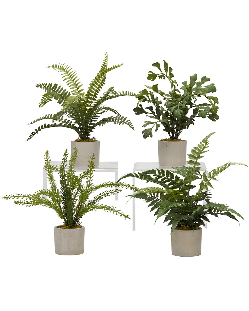 D&w Silks Set Of 4 Assorted Mini Ferns In Mini Cement Cylinder