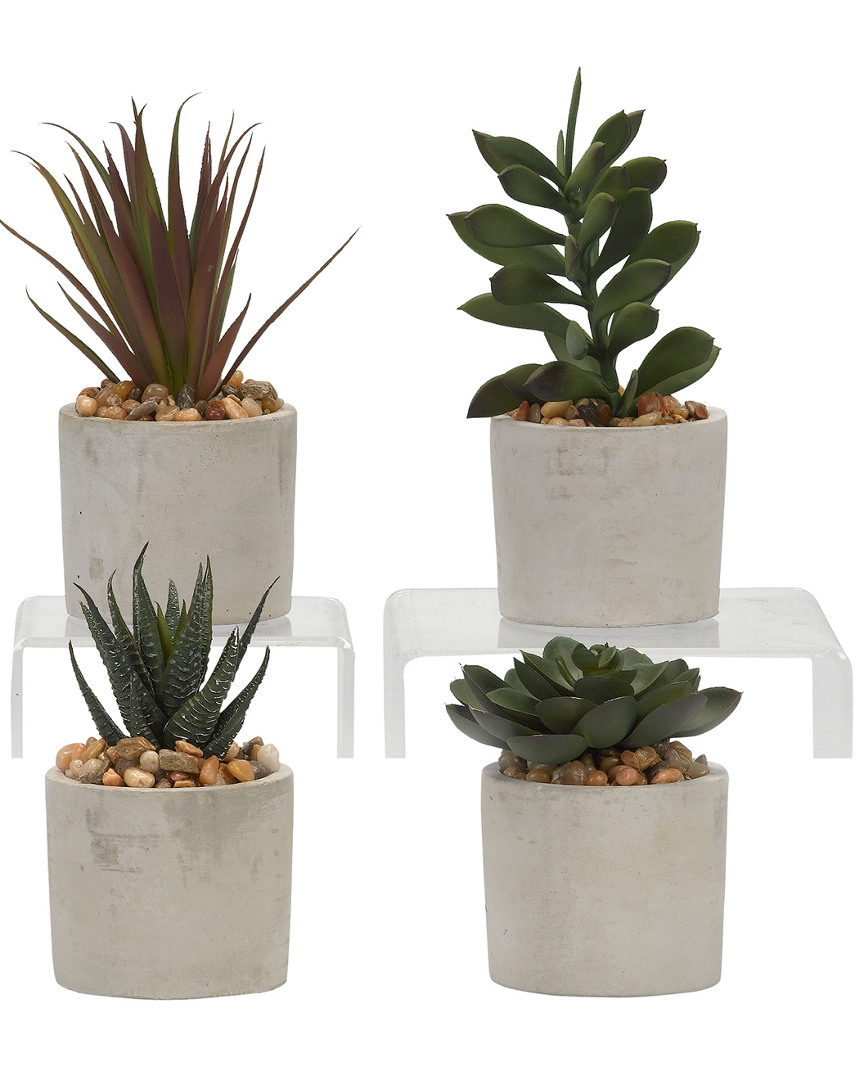 D&w Silks Set Of 4 Assorted Succulents In Mini Cement Cylinders