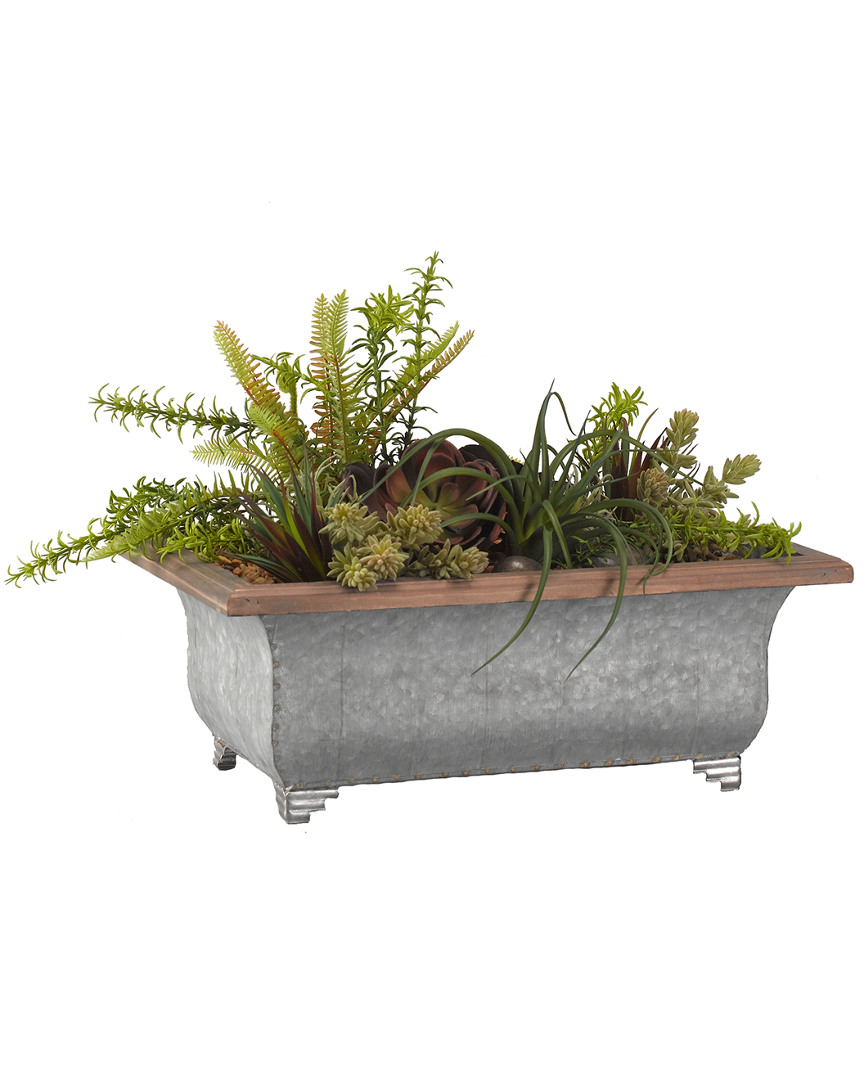D&w Silks Echeveria, Burro Tail, Mini Dracaena, Tillandsia And Small Deer Fern In Rectangle Metal Pl