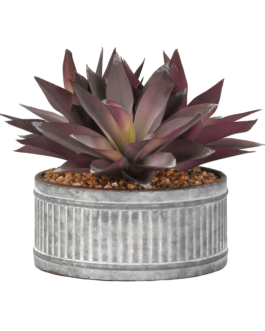 D&w Silks Purple Aloe Plants In Round Tin Planter