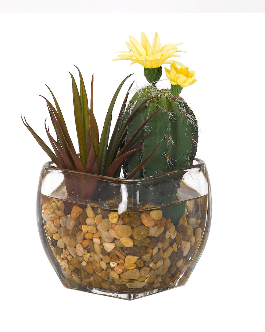 D&w Silks Mini Oval Cactus And Aloe In Glass Cube