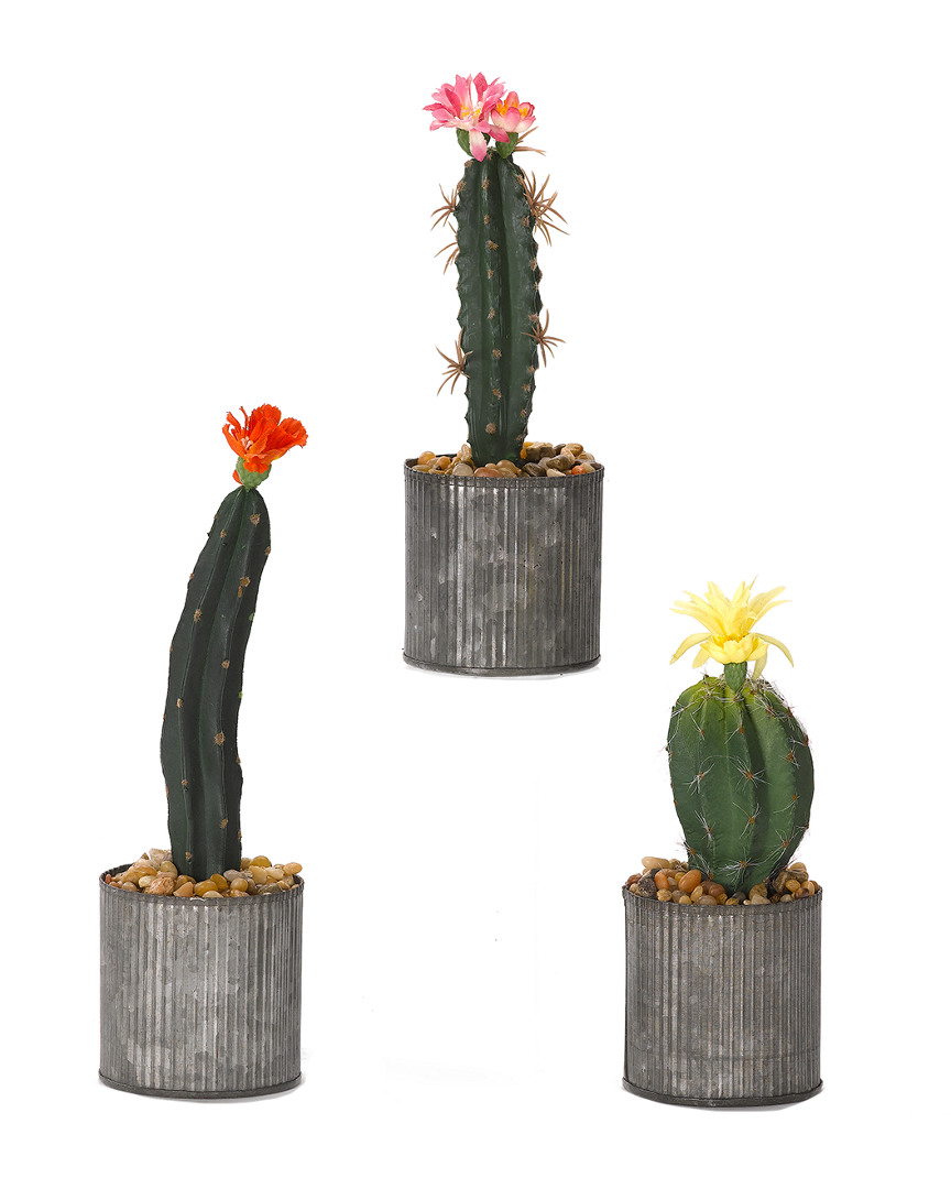 D&w Silks Set Of 3 Assorted Cactus In Round Tin Planter