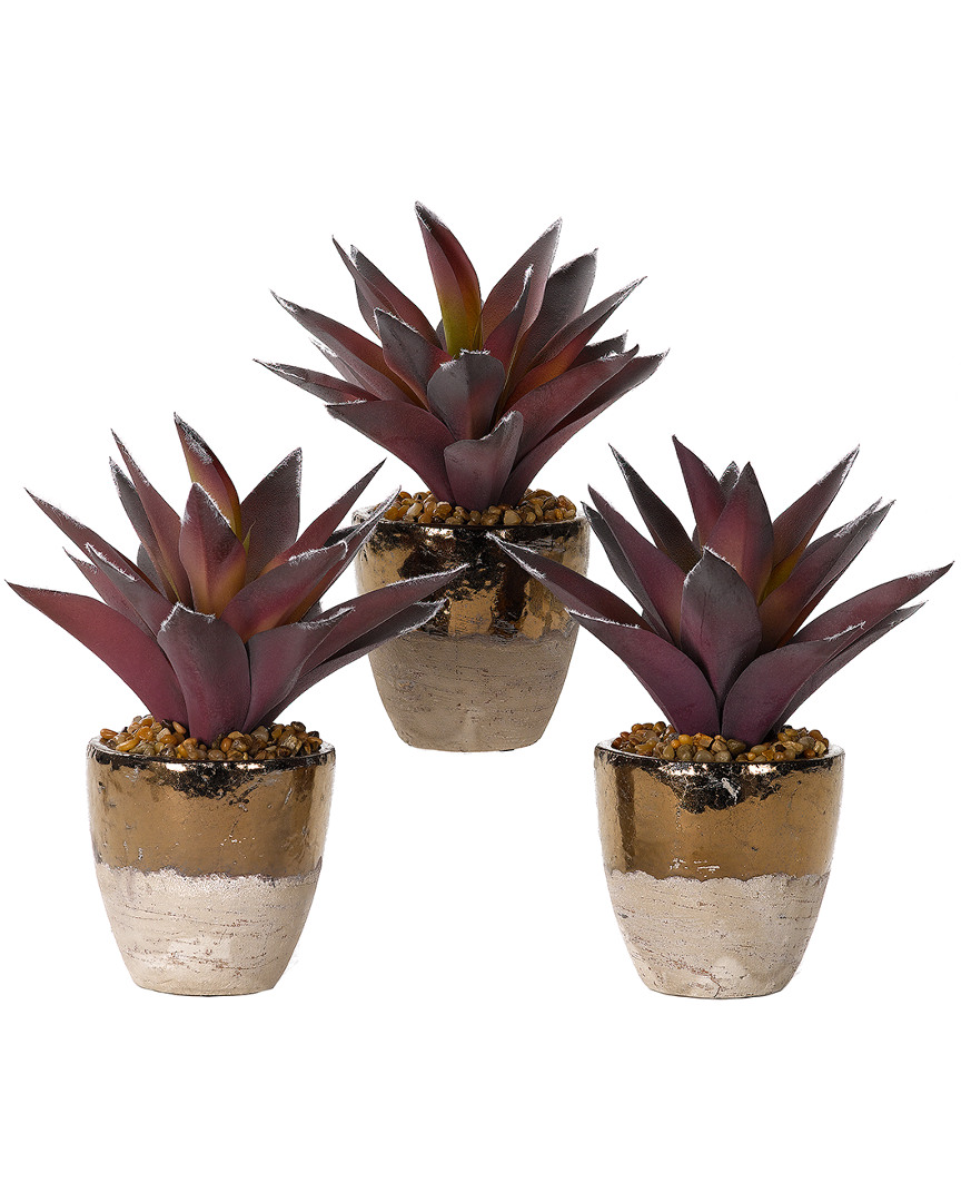 D&w Silks Set Of 3 Red Aloe Plants In Rustic Ceramic Planter
