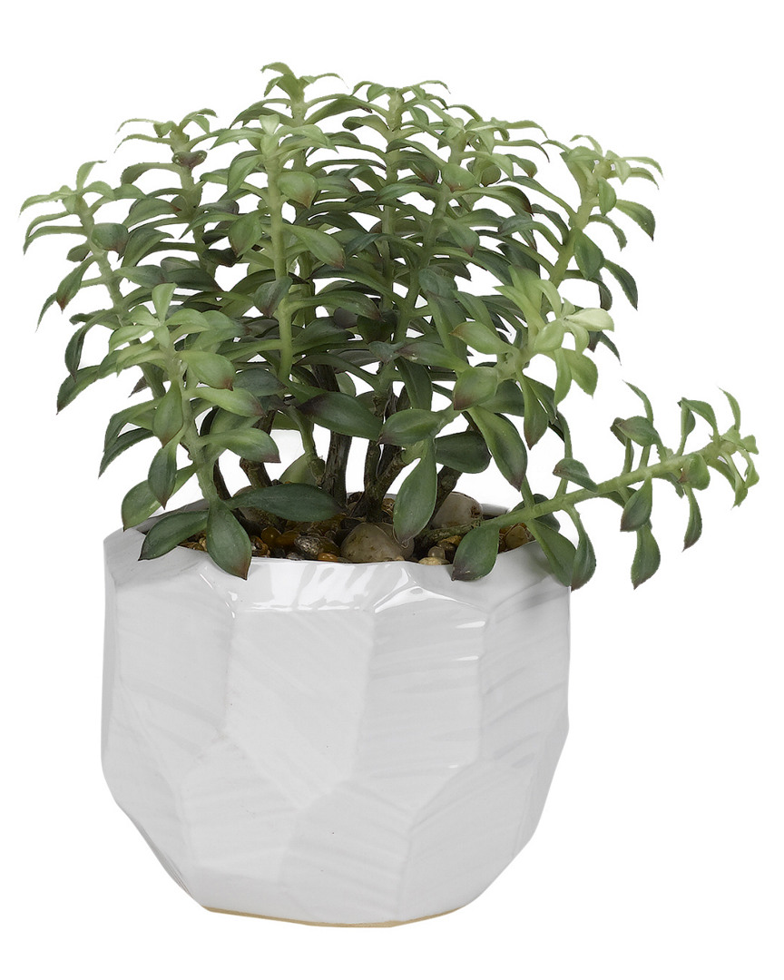 D&w Silks Tree Succulents In Glossy White Ceramic Bowl