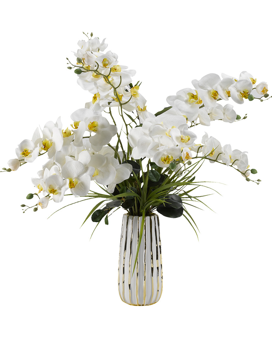 D&w Silks Cream Phael Orchids In White/gold Ceramic Vase