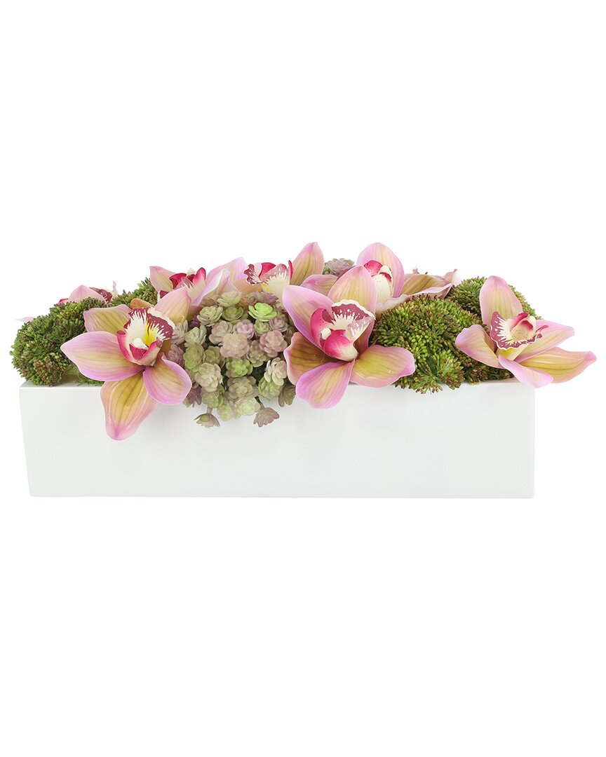 Creative Displays Modern Pink Orchid Arrangement With Assorted Succulents In Pink