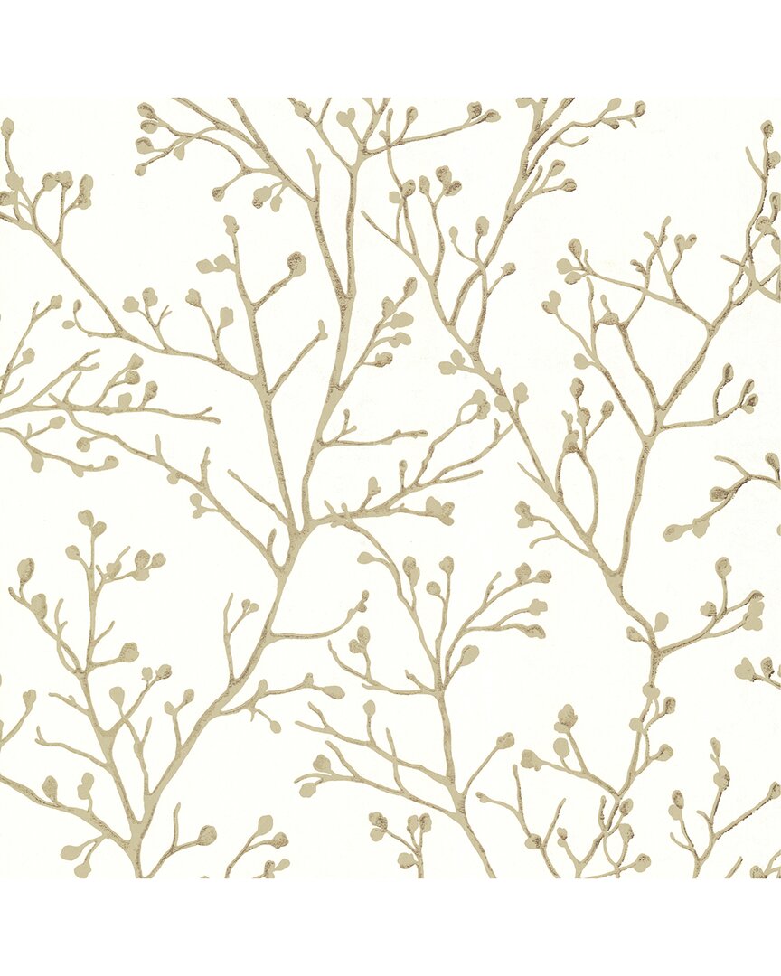 Shop Brewster A-street Prints Koura Cream Budding Branches Wallpaper In Multi