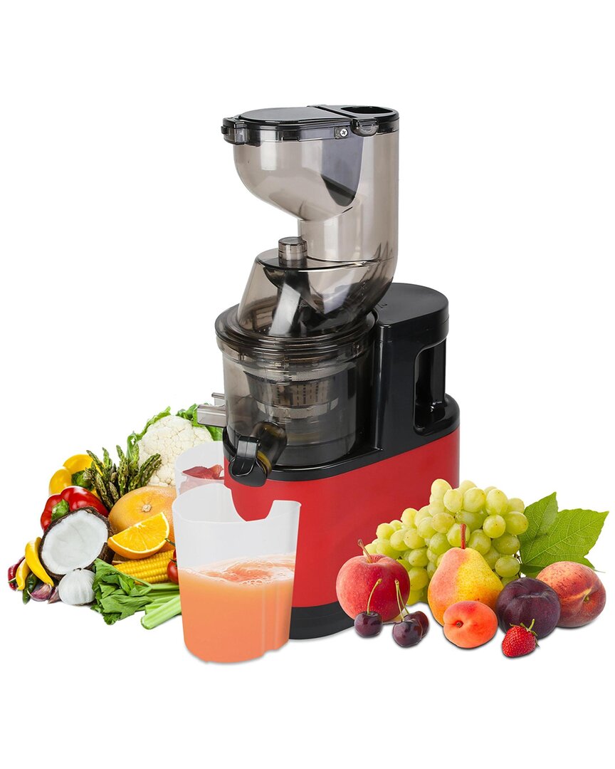 Fresh Fab Finds Cold Press Juicer 300w Electric Slow Masticating Juicer