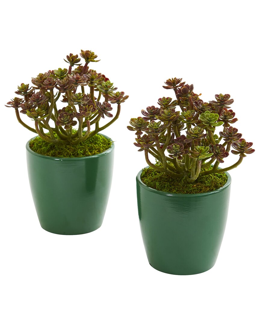 Nearly Natural Set Of 2 Sedum Artificial Plants In Green Planter In Green