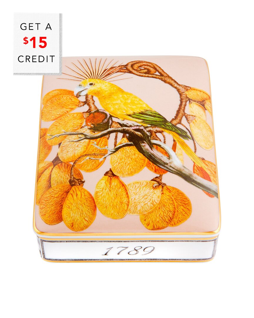 Vista Alegre Amazonia Light Card Box With $15 Credit In Multi