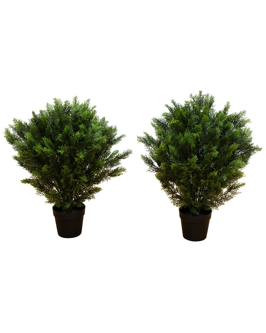 NEARLY NATURAL NEARLY NATURAL SET OF 2 INDOOR/OUTDOOR UV-RESISTANT 3FT ARTIFICIAL CEDAR TREES 