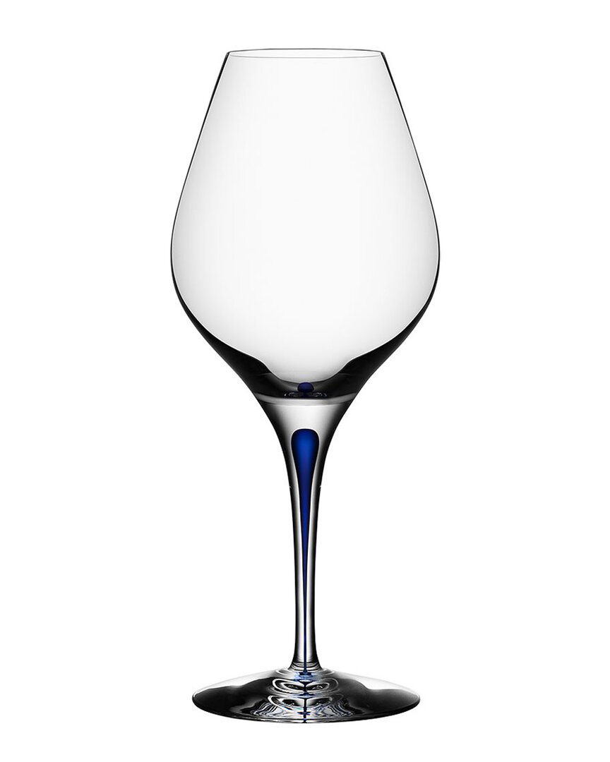 Orrefors Intermezzo Blue Aroma In Blue