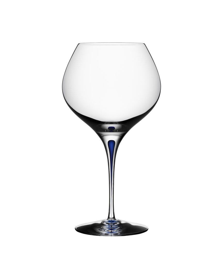 Orrefors Intermezzo Bouquet Wine Glass In Blue