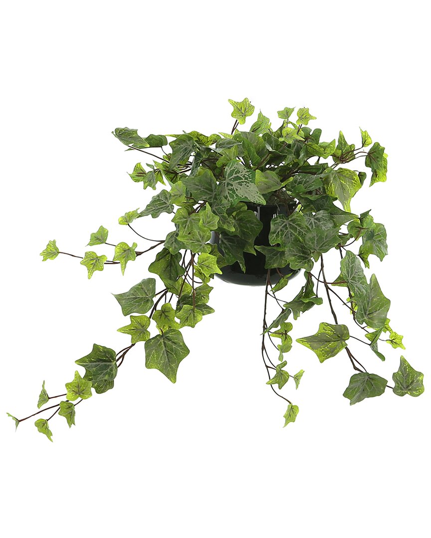 Creative Displays Ivy Arrangement In A Glass Vase In Green