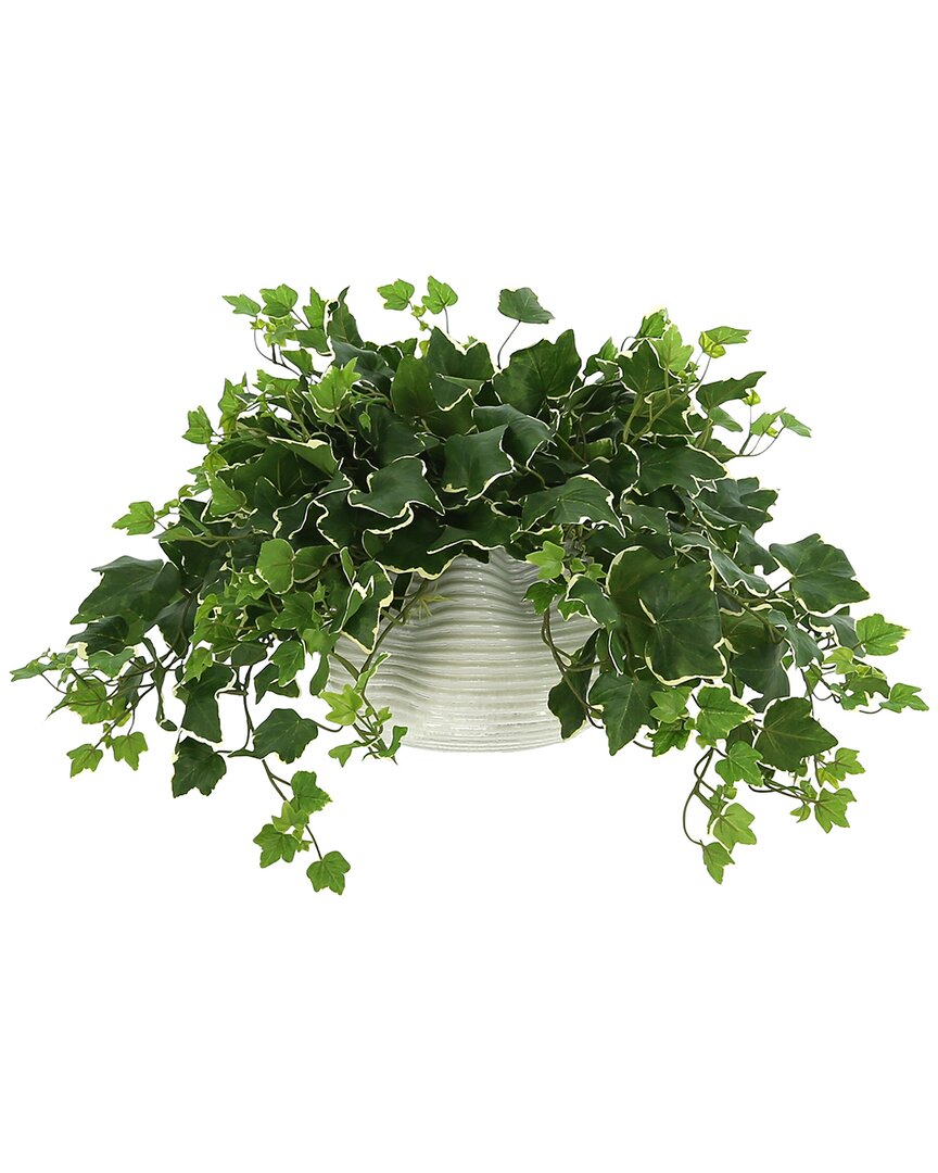 Creative Displays Ivy Plant In Glass Vase In Green