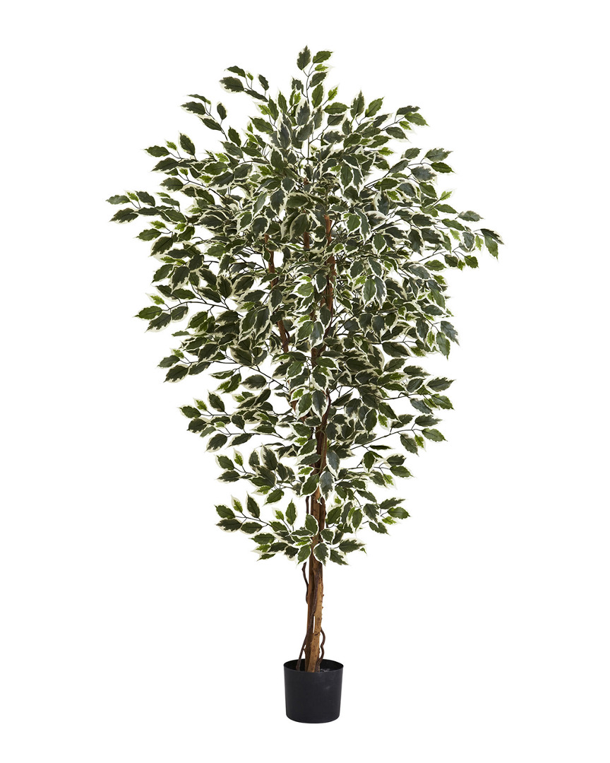 NEARLY NATURAL NEARLY NATURAL 6FT HAWAIIAN FICUS TREE