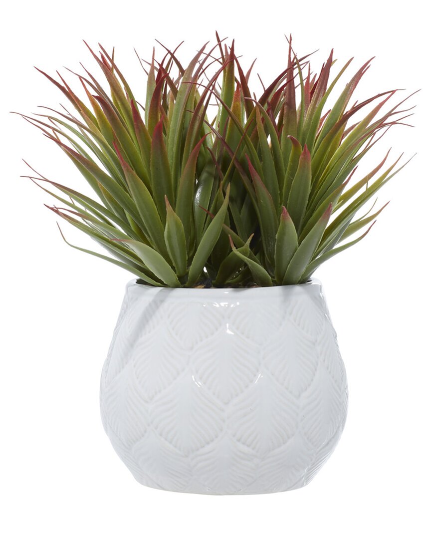 Peyton Lane Striped Stemmed Aloe Green Faux Foliage Artificial Plant With White Ceramic Pot