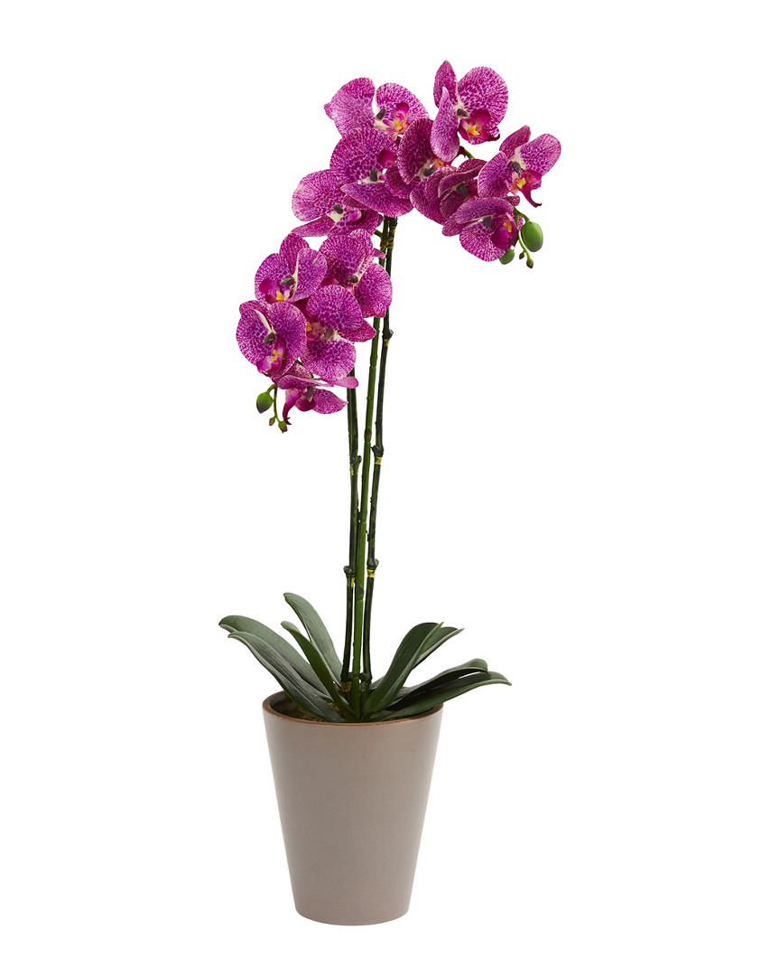 NEARLY NATURAL NEARLY NATURAL 24IN SPECKLED PHALAENOPSIS ORCHID ARTIFICIAL ARRANGEMENT