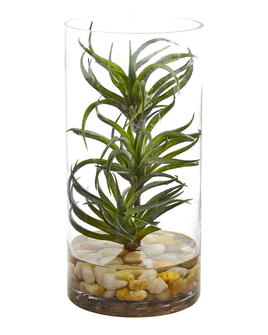 Nearly Natural Air Plant Artificial Succulent In Glass Vase