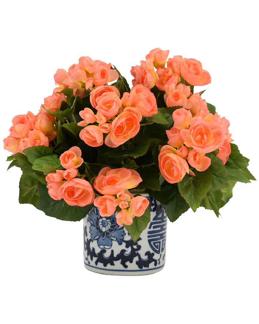 Creative Displays Peach Begonia Floral Arrangement
