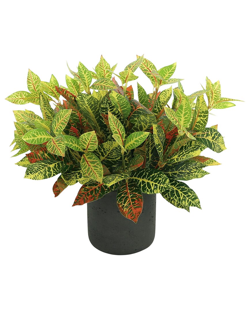Creative Displays Outdoor Uv-rated Croton Plant In Red