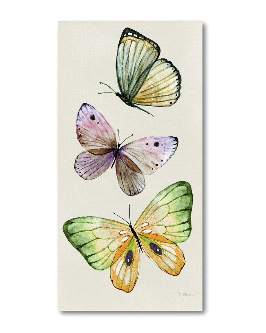 COURTSIDE MARKET COURTSIDE MARKET FLY AWAY II CANVAS WALL ART