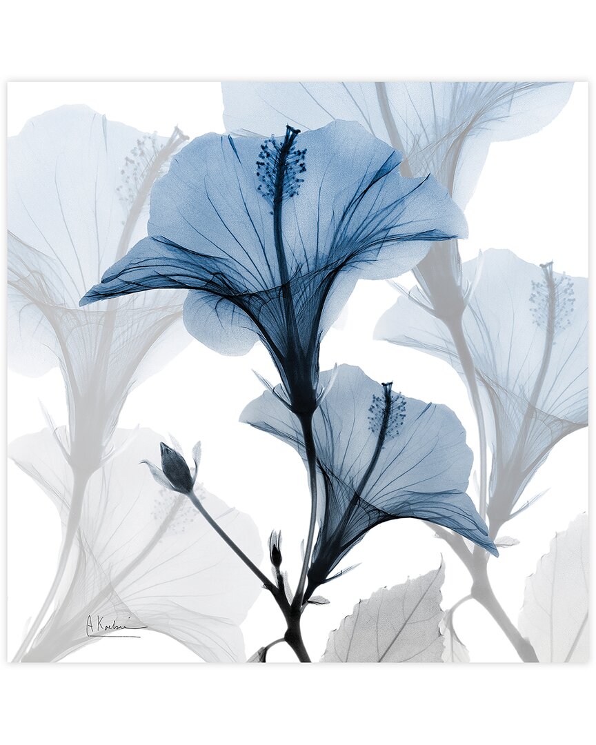 Empire Art Direct Blue Xray Floral By Albert Koetsier Wall Art