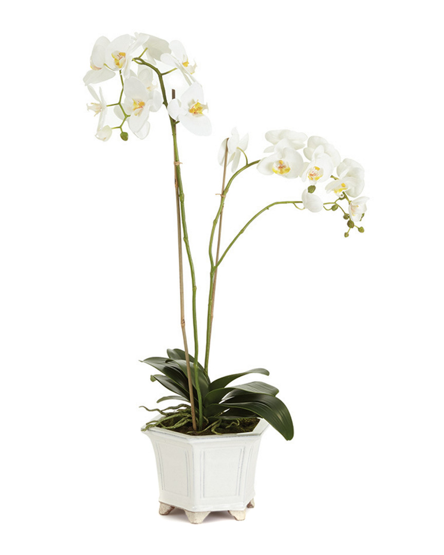 Napa Home & Garden Barclay Butera Phalaenopsis In Ceramic Pot In White