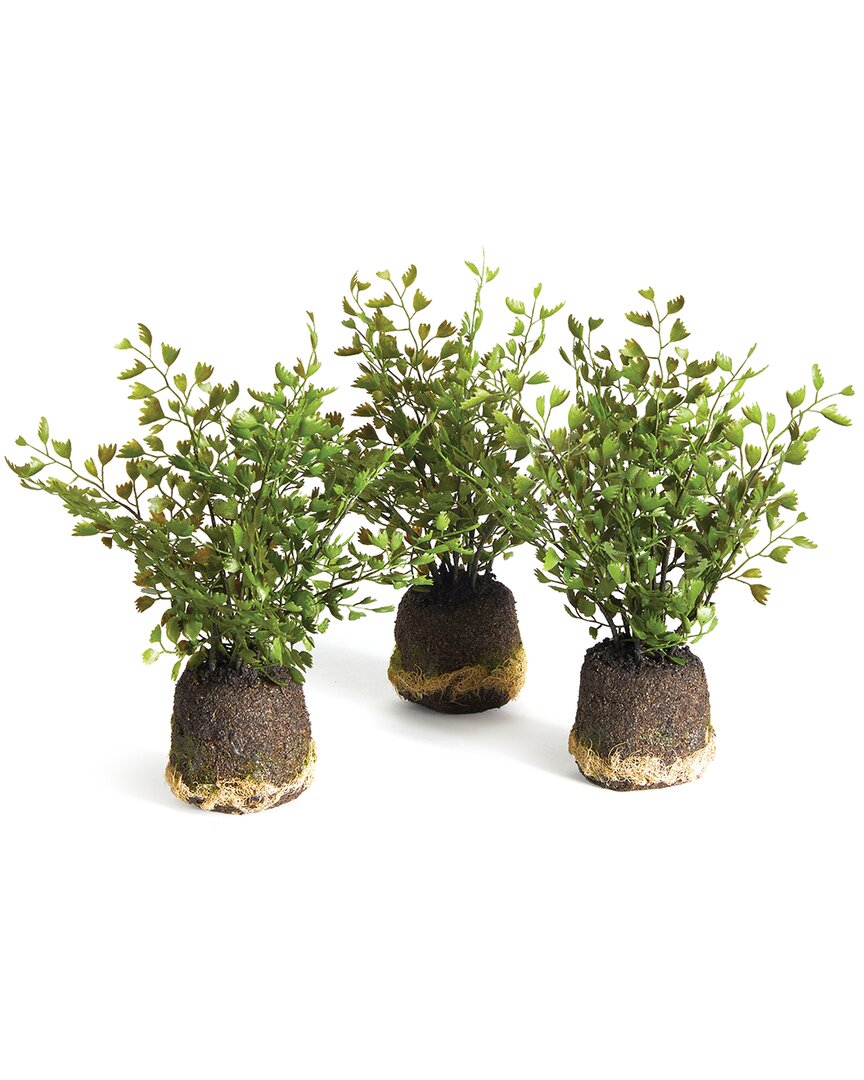 Napa Home & Garden Maidenhair Drop-ins Set Of 3in In Green