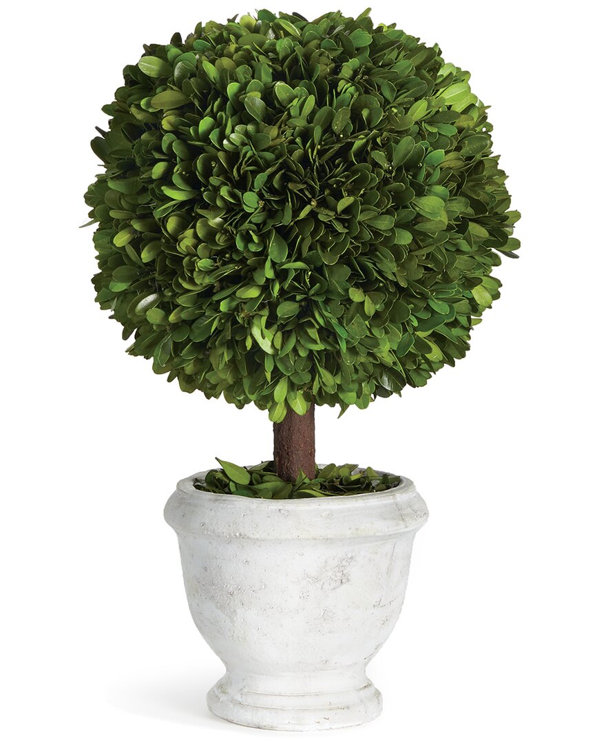 Napa Home & Garden Boxwood Single 9in Ball Topiary In Pot In Green