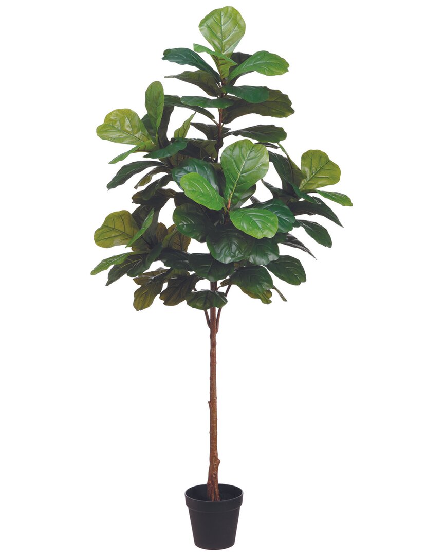 Creative Displays Green Fiddle Leaf Fig Tree